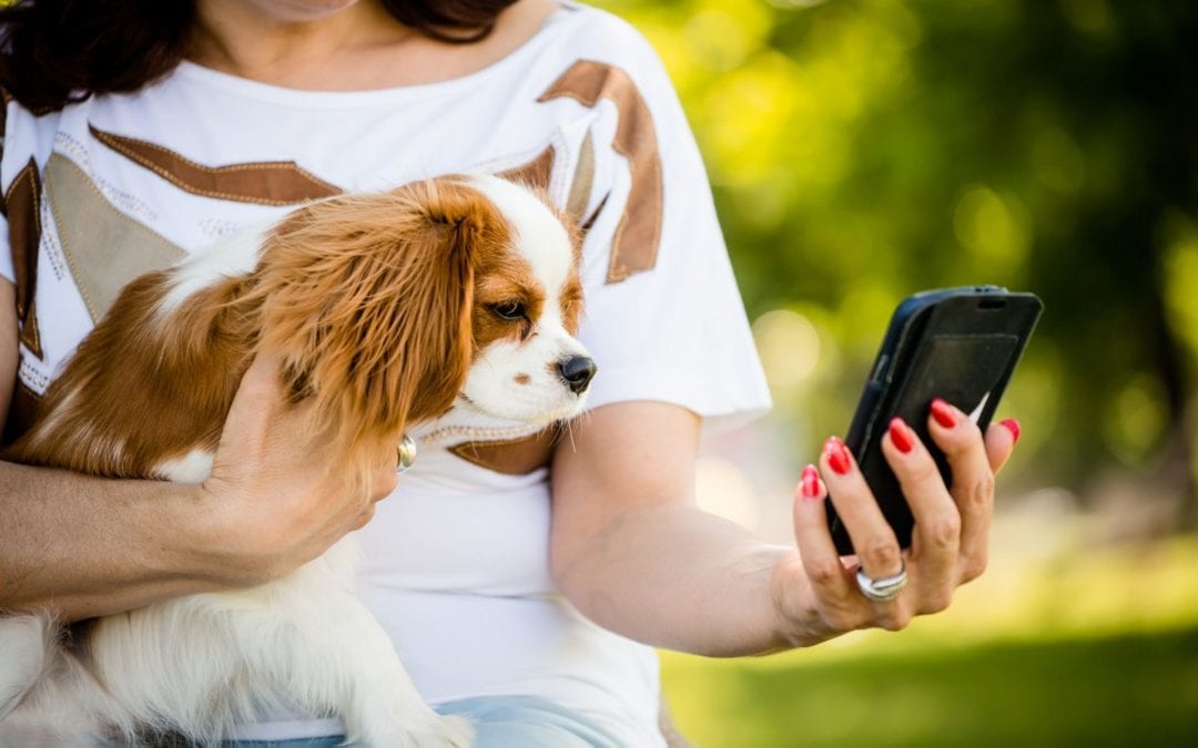 The Complete Guide to Facebook Pet Photo Contests for Veterinary Hospitals
