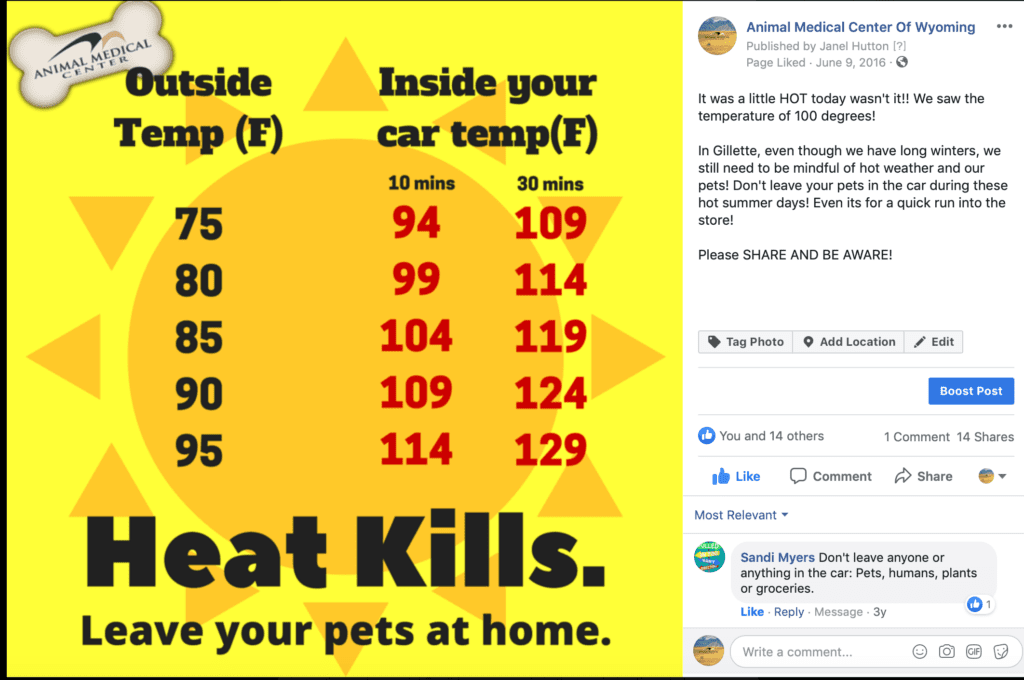 Excessive Heat Warning Survival Tips Extreme heat