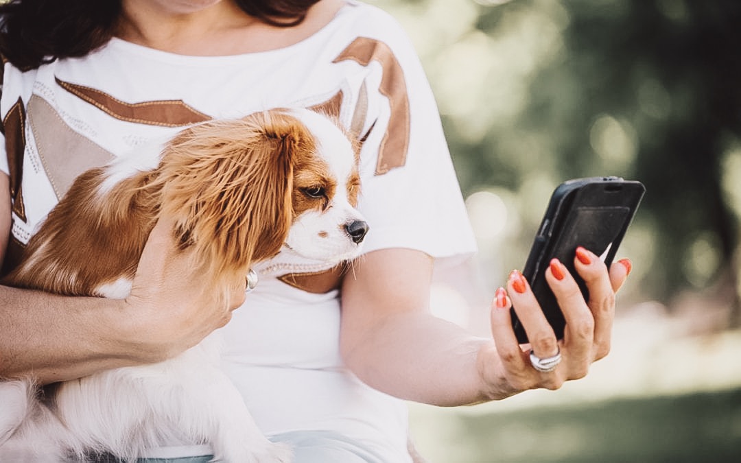 Here’s Why Instagram Followers Aren’t Helping Your Veterinary Clinic