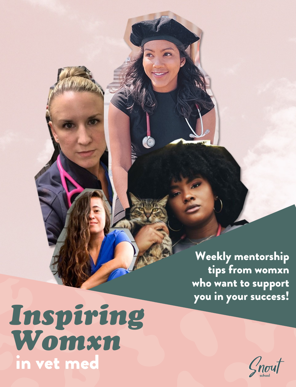 Inspiring Women Vet Med Cover