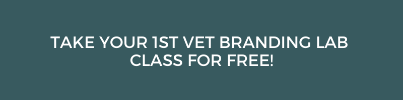 Take your first vet branding lab class free