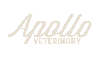 Apollo Veterinary logo