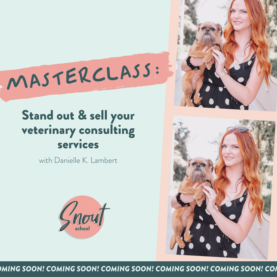 Stand Out & Sell Your Veterinary Consulting Services