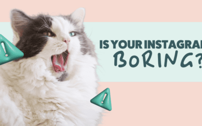 This Is Why Your Veterinary Instagram Ideas Are BLAH