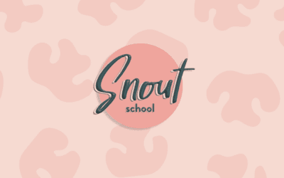 What’s Happening to Snout School?